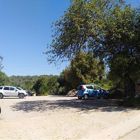 Quinta Dos Valados Acomodação com café da manhã Querenca Exterior foto