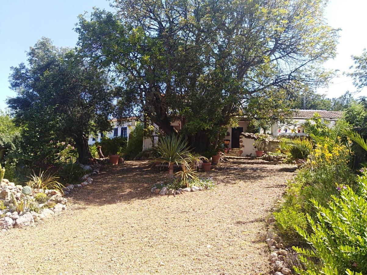 Quinta Dos Valados Acomodação com café da manhã Querenca Exterior foto
